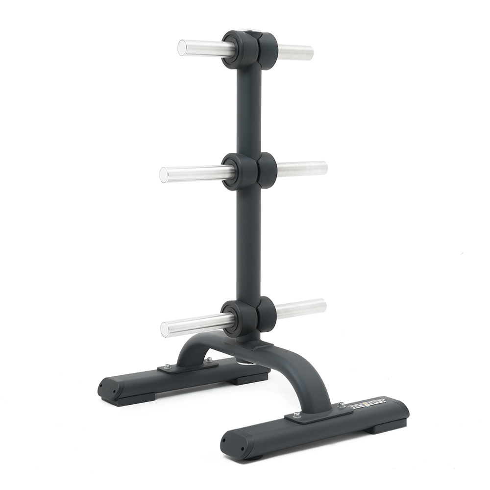 Support pour disques olympiques Insight SH011