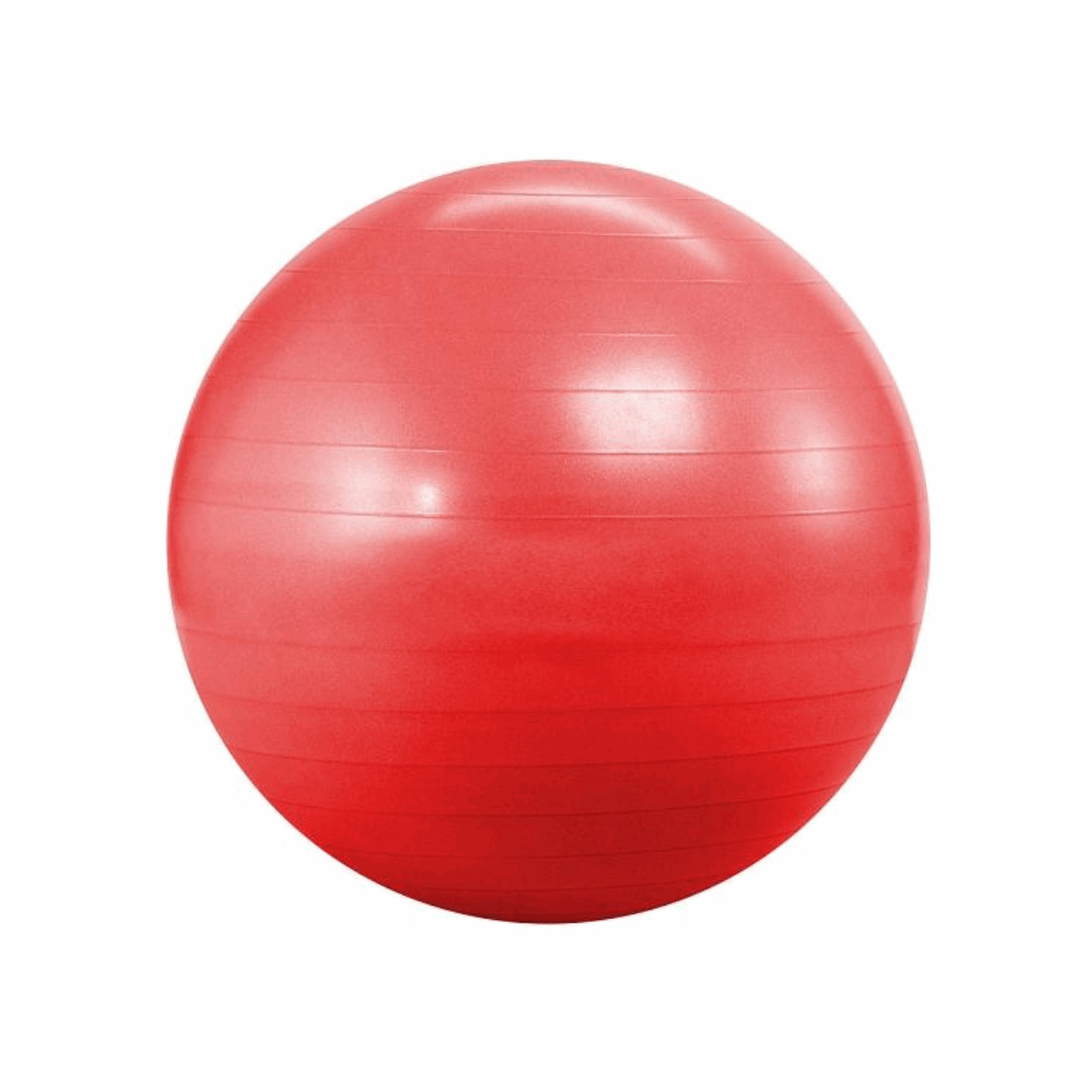 Anti-burst Ball 65cm