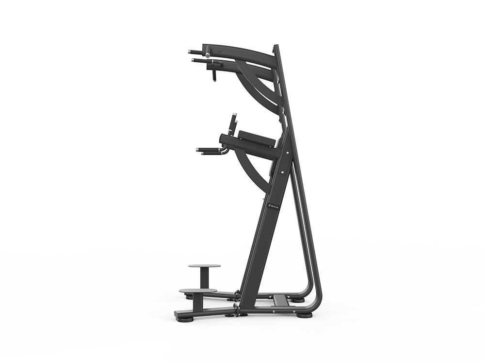 Shua Chin Dip Leg Raise Station SH-G6888