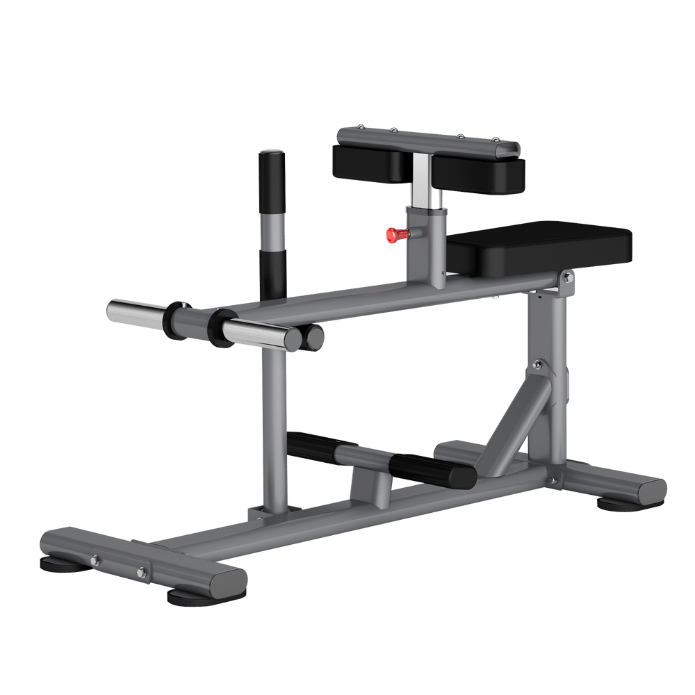 Insight Fitness Seated Calf Raise DR011