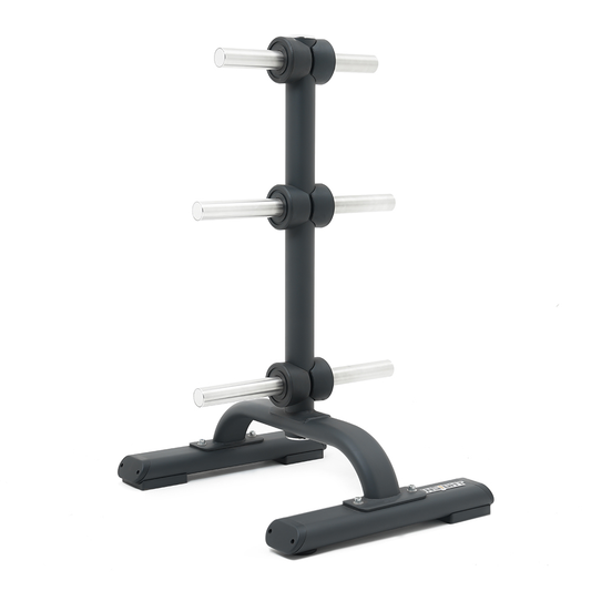 Support pour disques olympiques Insight SH011