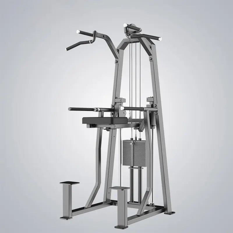 Dip/Chin Assist-JN3009T